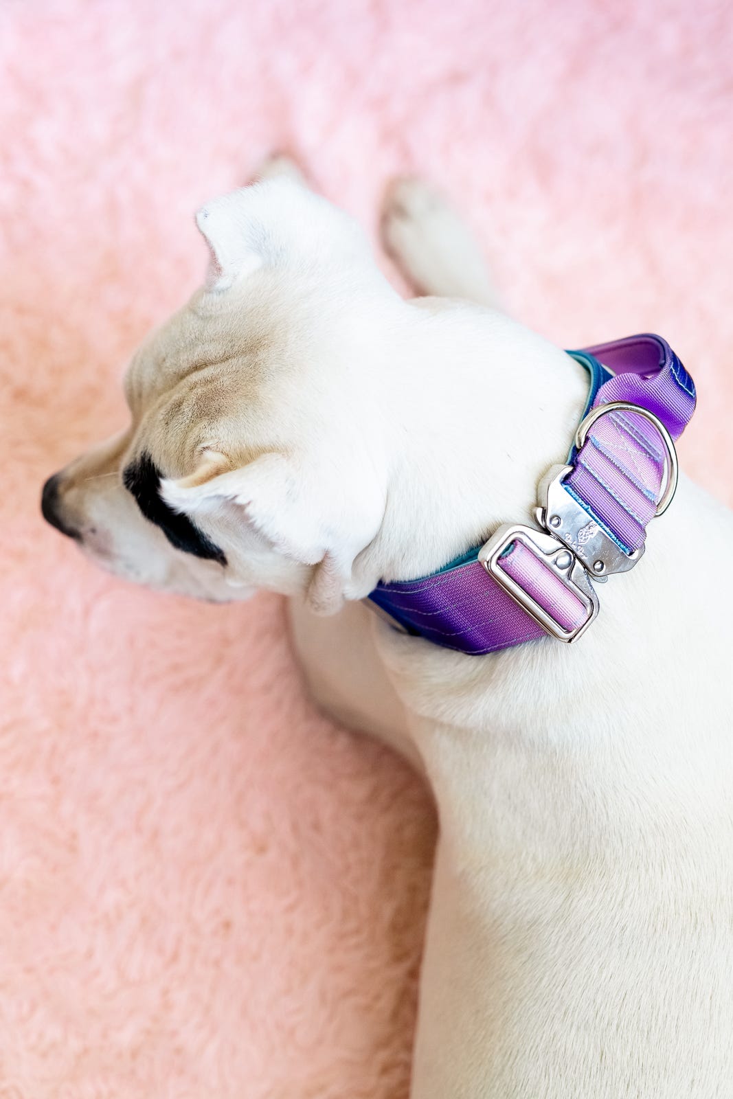 E-Covered - Chrome - EXCLUSIVE UNICORN