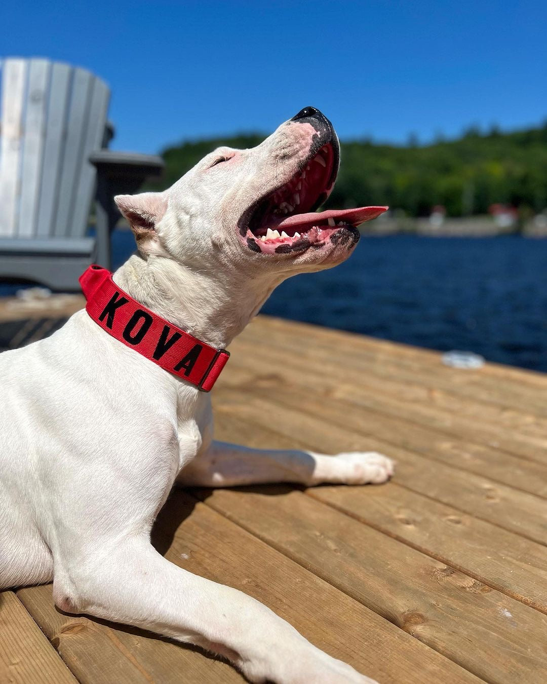 E-Covered - Gun Metal - Crimson