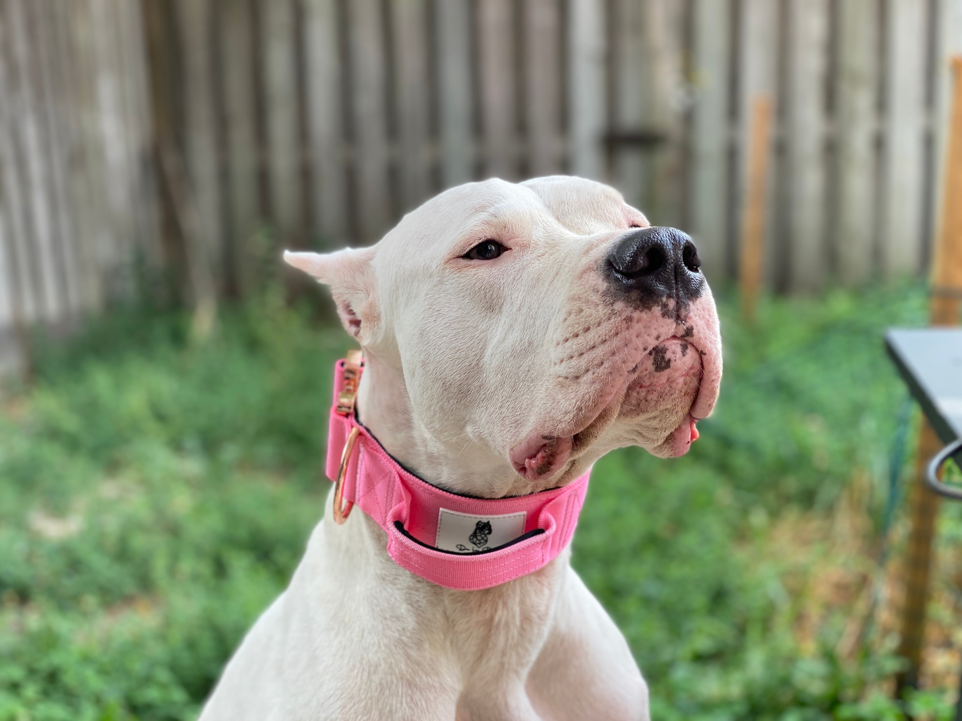 E-Covered - Rosé - Blossom