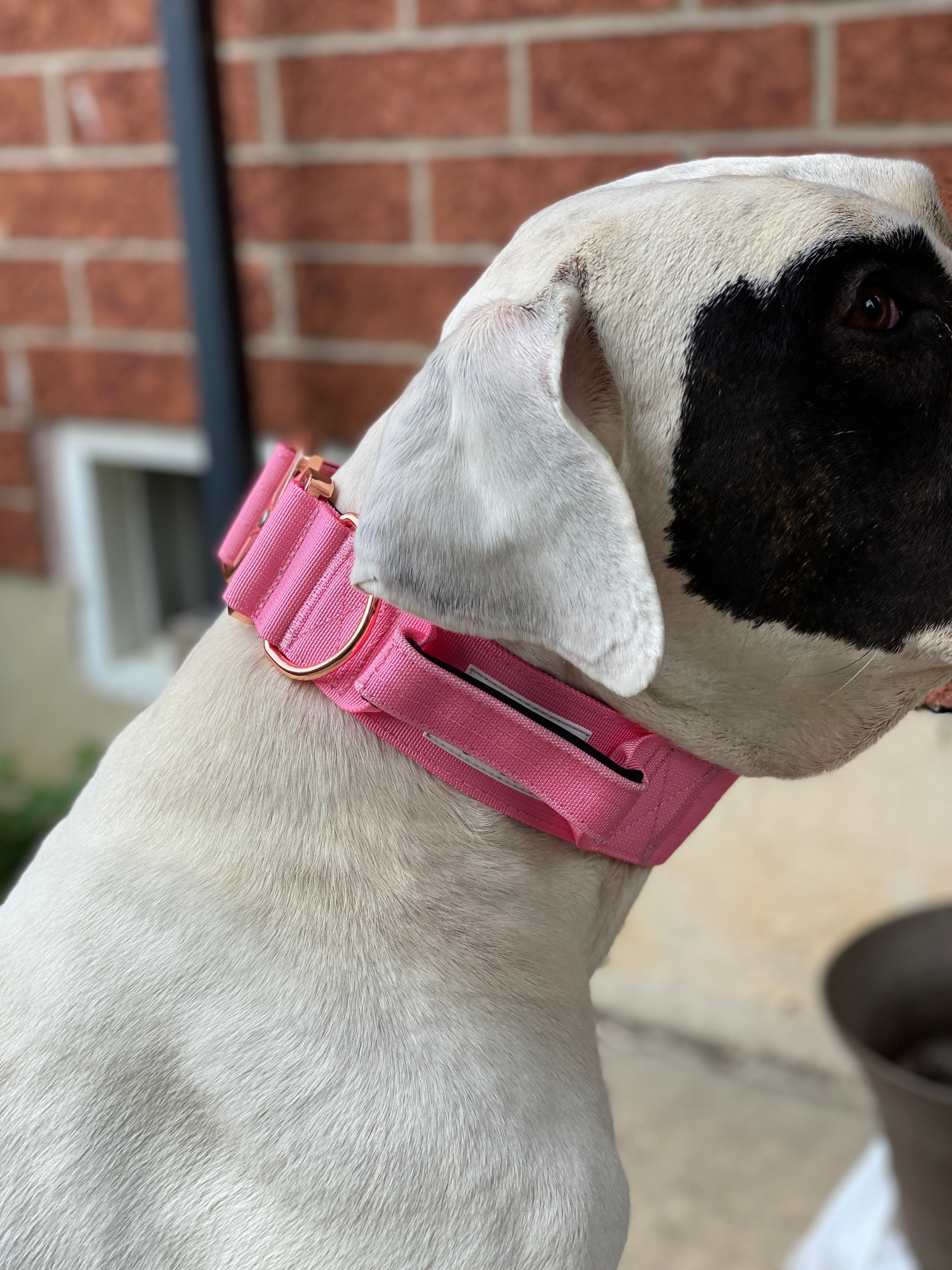 E-Covered - Rosé - Blossom