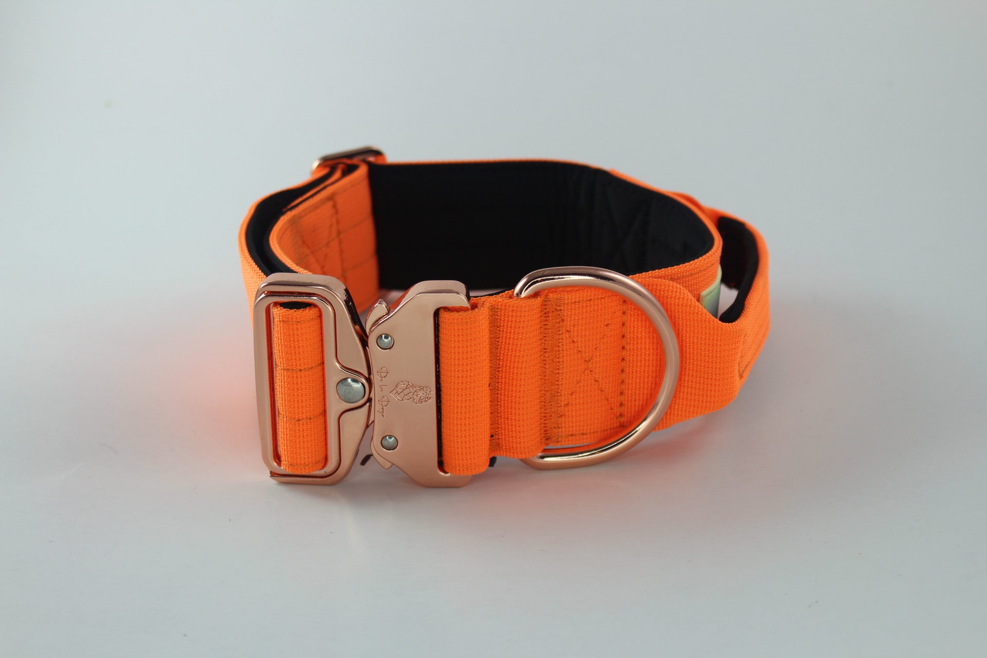 Neon orange 2025 dog collar