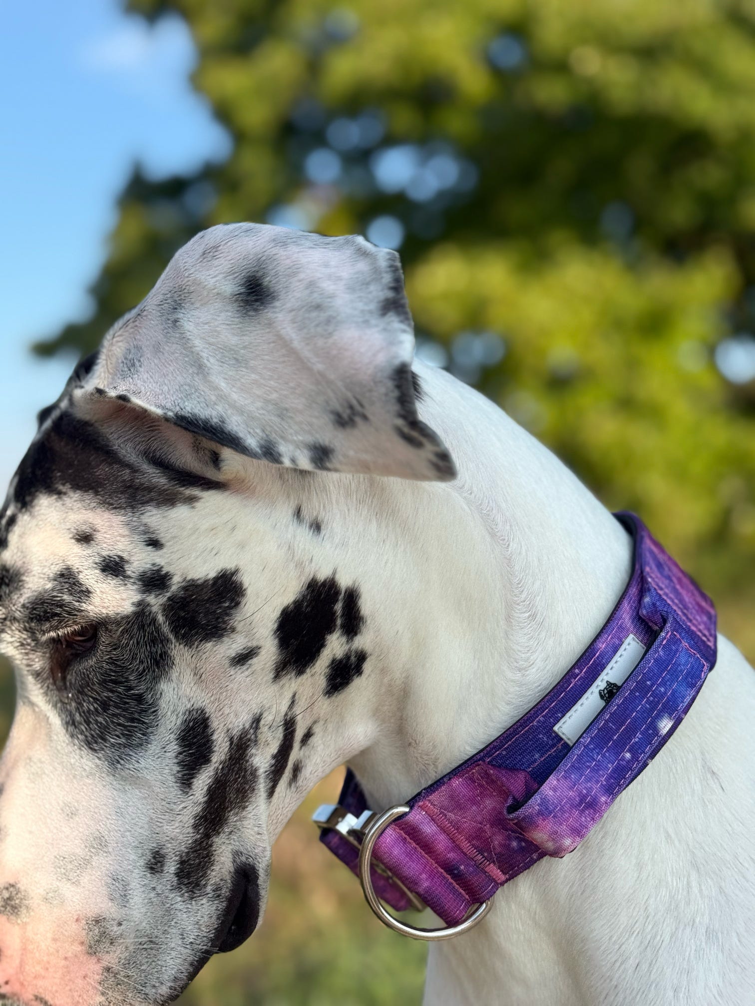 E-Covered - Chrome - Ultraviolet Galaxy