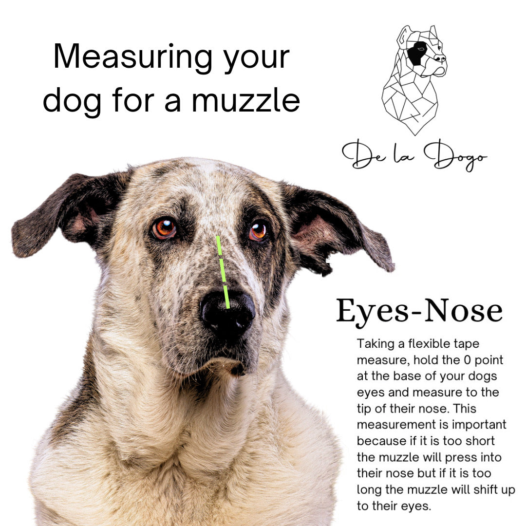 DE LA DOGO WIRE MUZZLES