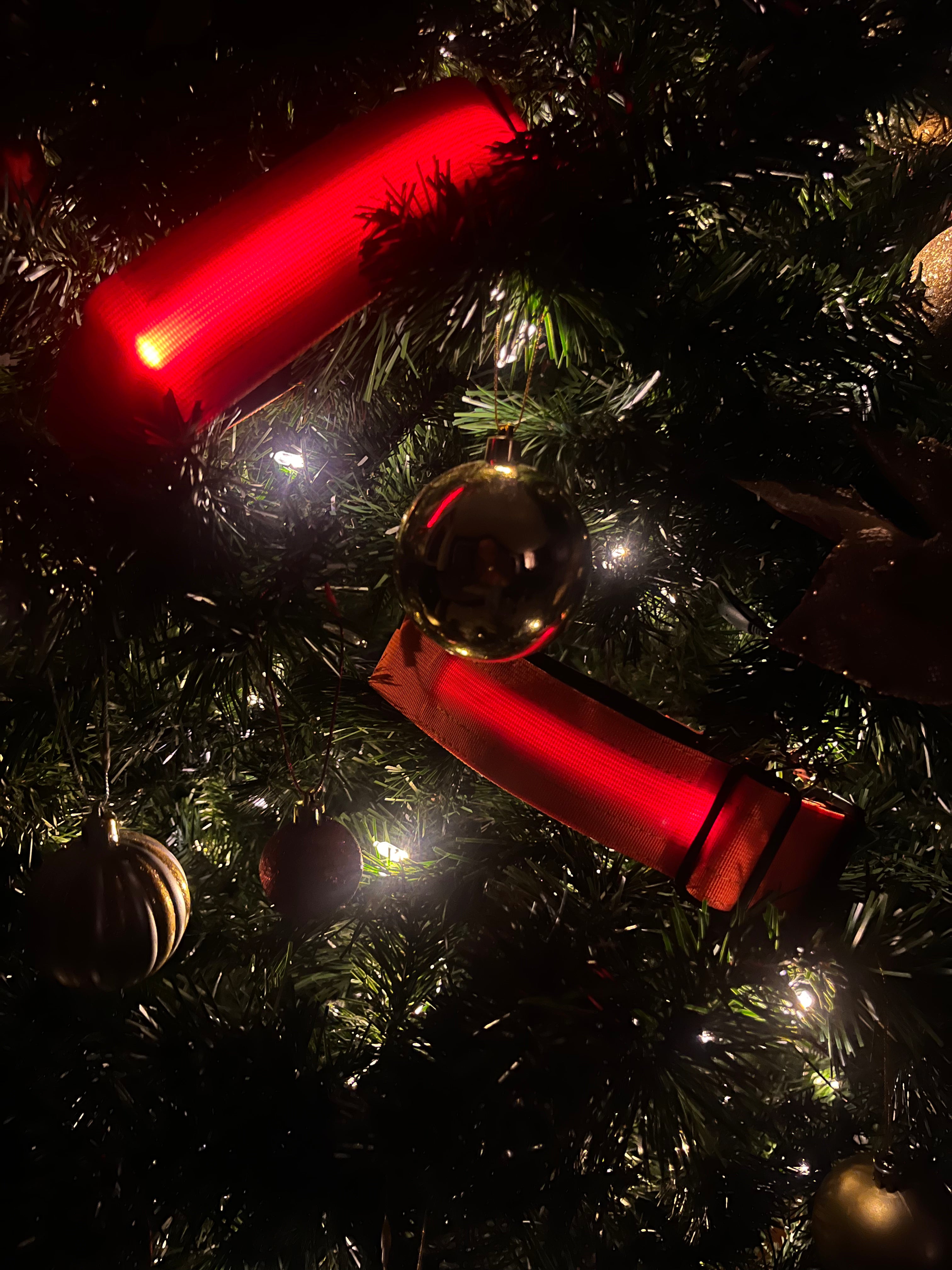 LED Dog Collar - Charcoal - Autumn