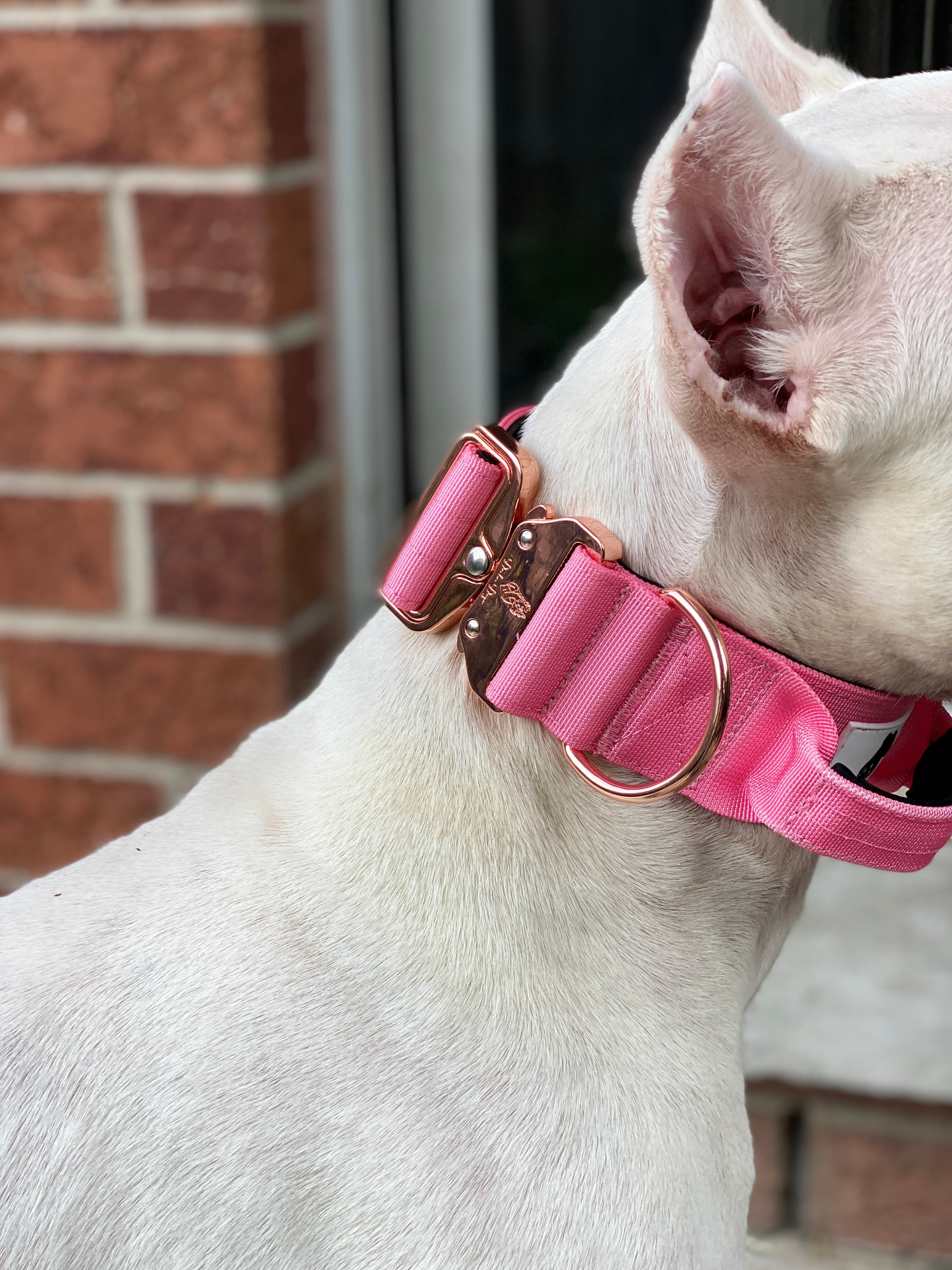E-Covered - Rosé - Blossom