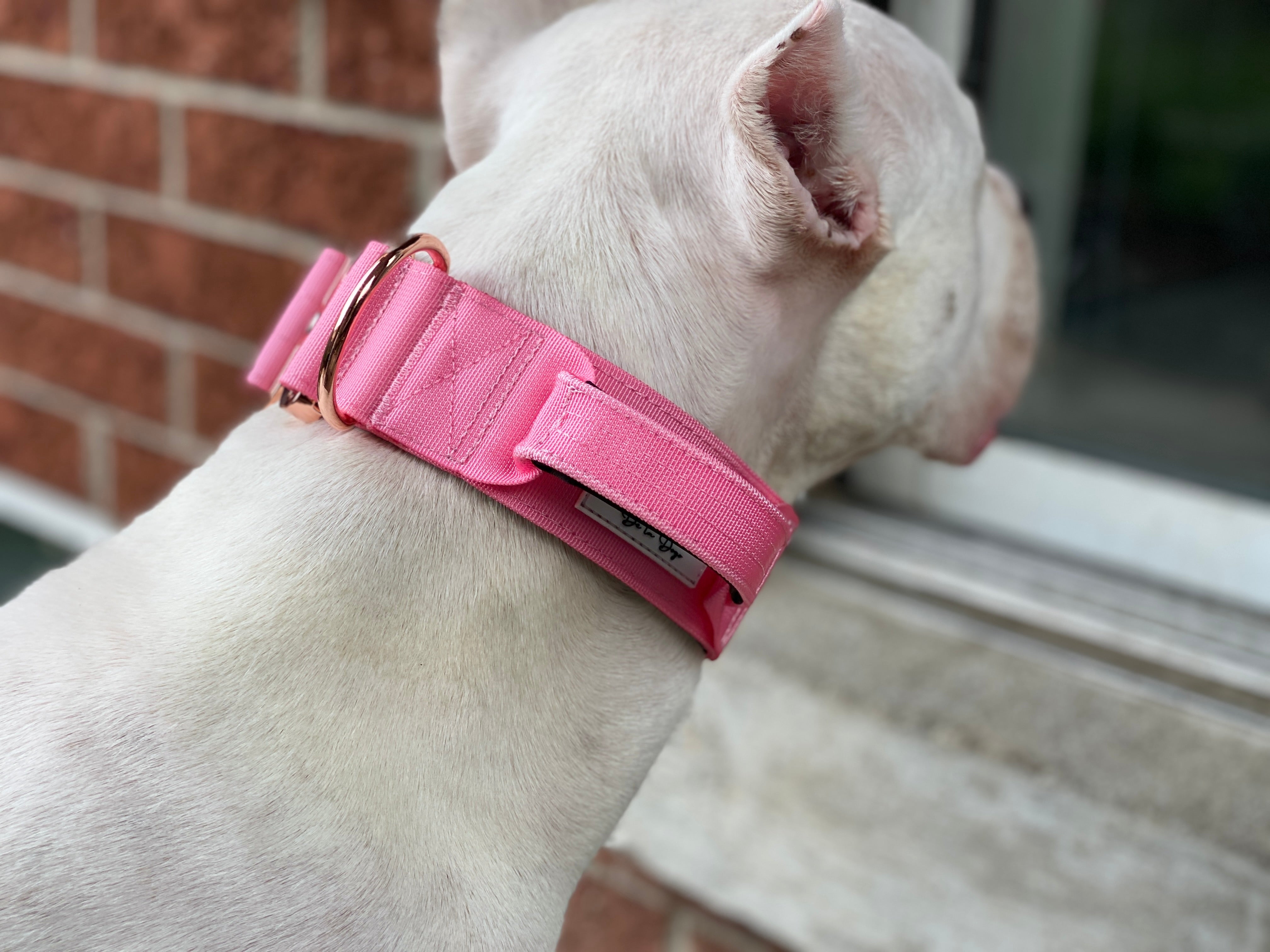 E-Covered - Rosé - Blossom